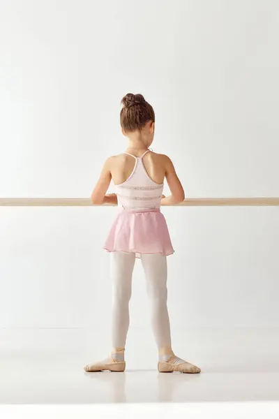 Rear View Portrait Small Adorable Ballerina Dancer Girl Rose Tutu — Stock Photo, Image