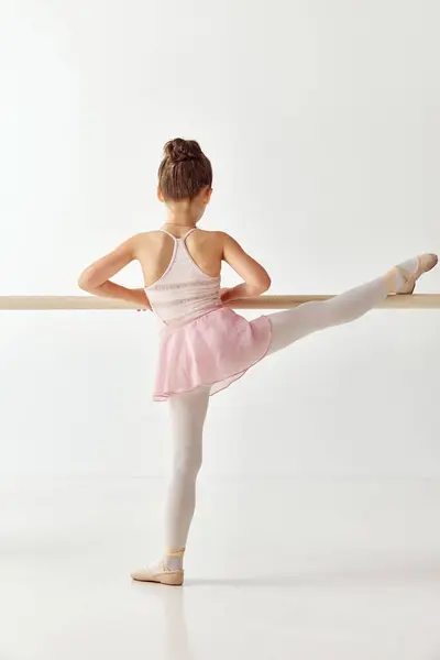 Rückseite Porträt Der Kleinen Bezaubernden Ballerina Tänzerin Mädchen Rosa Tutu — Stockfoto