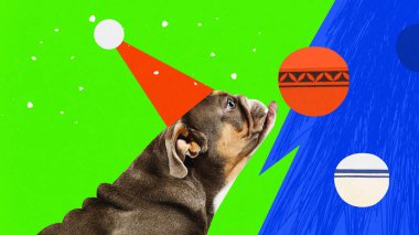 Poster. Çağdaş sanat kolajı. Modern yaratıcı komik sanat eserleri. Parti şapkalı evcil, safkan köpek yeşil arka planda süslenmiş yeni yıl ağacına bakıyor. Tatil kavramı, Noel. ad