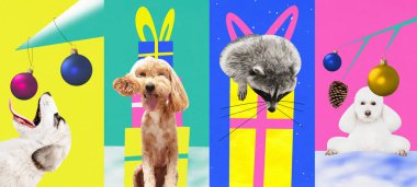 Çağdaş sanat kolajı. Modern yaratıcı komik sanat eserleri. Evcil hayvanlı posterler, köpekler, hediyeli rakunlar, kış tatili hediyeleri. Yeni yıl kavramı, Noel. Reklam. Dilekler için kartpostal