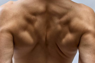 Gri stüdyo arka planında çıplak poz veren yakışıklı bir erkek modelin kaslarının yakın plan fotoğrafı. Kas yapısı geri geldi. Güzellik, moda, vücut ve cilt bakımı kavramı. ad