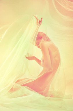 Sevgi, ilgi, hayranlık. İnce vücutlu, ıslak ve şeffaf kumaşla kaplı, yerde tek başına oturan, şehvetli, narin bir genç kız silueti. Kadın vücudunun doğal güzelliği, kadınlık kavramı.