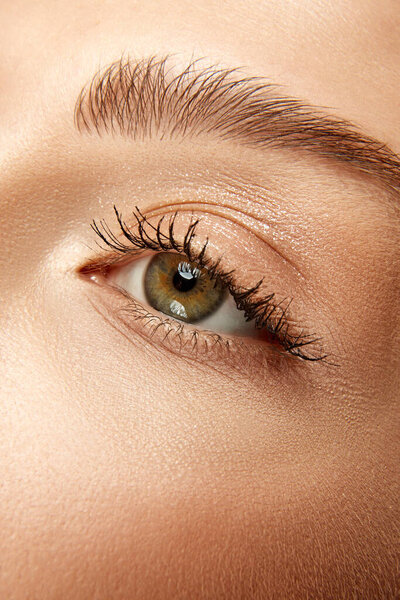 Cropped. Extreme close up view photo of woman with well-kept skin and natural fashion make-up. Eyes, lashes and brows. Concept of beauty, make-up, cosmetology, spa treatments, cosmetic products. Ad