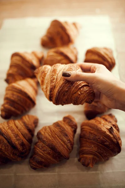 Close-up of someone enjoying freshly baked croissant, female hand holding warm and delicious, golden brown French pastry. Concept of food, bakery, cuisine, desserts, cooking, recipes.