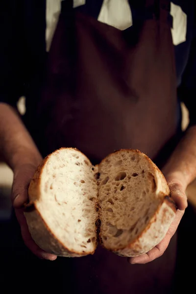 Man in brown apron holds in hands two halves of just prepared, delicious, hot homemade loaf of bread with golden brown crispy crust. Concept of food, bakery, tradition and innovation, recipe.
