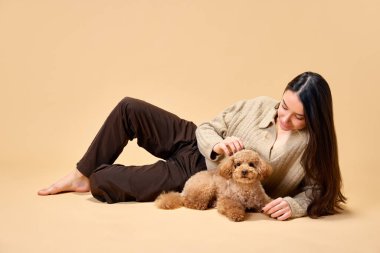 Genç bayan neşeli, sağlıklı bir kanişin mutlu sahibi sevgili evcil hayvan ve sevimli köpeğini kumlu stüdyo arka planında okşayan. Hayvan sevgisi, evcil hayvan sevgisi, arkadaşlık, ev hayatı kavramı..