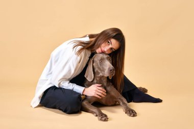 Güven ve sevginin özü. Güzel evcil hayvanıyla poz veren kadın model, bej arka planda safkan Weimaraner. Hayvan, hayvan sever, arkadaş, evcil hayat, arkadaşlık kavramı..