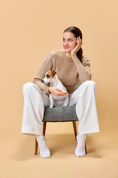 Young woman sitting on chair with her favorite pet, little playful dog on chair and posing against beige background. Animals look like their owner. Concept of animal, pet lover, friendship.