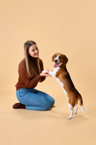 Happy time with pet. Female model having fun with her lovely pet, purebred Beegle against beige background. Concept of animal, pet lover, friendship, domestic life, companionship.