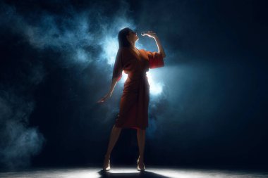 Melodide kayboldum, ışıkta yıkandım. Sahnede dramatik dumanla siyah arka planda şarkı söyleyen zarif ve sanatsal bir kadın. Hobi, festival, konser, disko, eğlence anlayışı. Ad