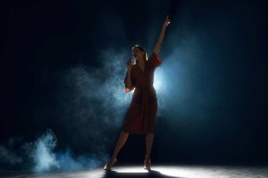 Şarkıcı Karanlıktan Kurtuldu. Zarif bir sanatçı, mikrofonlu dumanlı bir kadın, dramatik bir jestle elini kaldırdı. Hobi, festival, konser, disko, eğlence anlayışı. Ad