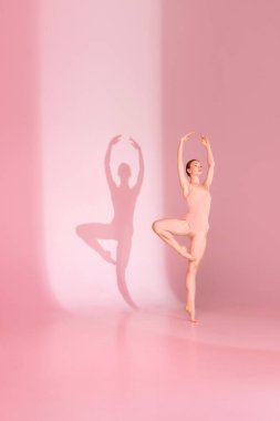 En Pointe in Pink. Spor kıyafetleri içinde, sessiz palete karşı poz veren balerin. Gölgesi zarafetini yansıtıyor. Sanat, bale, zarafet ve güzellik, duruş, gölge dansı kavramı..