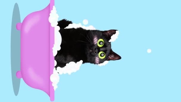 Zatrzymaj Ruch Animacja Czarny Kot Siedzi Wannie Otoczony Pianką Mydlaną — Wideo stockowe