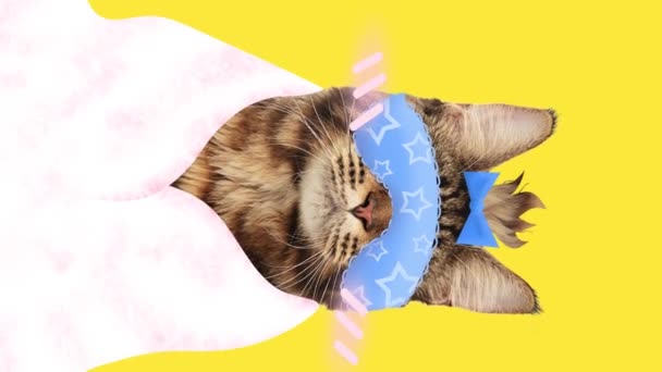 Stop Beweging Animatie Mooie Kat Met Slaapmasker Gewikkeld Witte Perzik — Stockvideo
