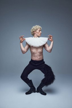 Sarışın kıvırcık saçlı, geleneksel yakalı, çıplak göğüslü genç bir adam gri stüdyo arka planında bale dansçısı gibi dans ediyor. Moda birleşimi, tarz, nonoş, kendini ifade etme kavramı. Ad