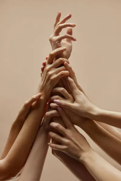 成群结队的不同的手伸出手来 在米色工作室的背景下纠结在中间 象征着力量通过统一得到体现 人与人的接触 美与关怀的概念 温泉疗程 图库照片
