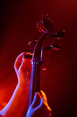 Viyolonsel çalan kızların portresi canlı neon ışıklardaki performansından önce enstrümanını ayarlıyor. Hobi ve iş kavramı, müzik festivalleri, konserler, senfoni gösterisi, kültür.