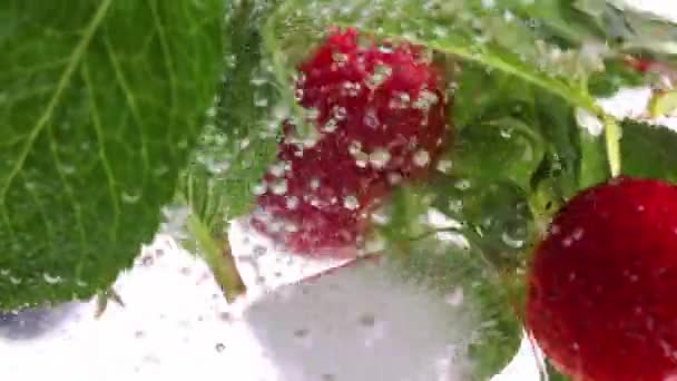 Κοντινό Πλάνο Φρέσκων Φραουλών Και Βατόμουρων Νερό Πράσινα Φύλλα Μέντας — Αρχείο Βίντεο