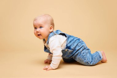 Güzel, küçük bebek, klasik kot giyen genç kaşif sıcak bej renkli stüdyo arka planında sürünüyor. Çocukluk kavramı, annelik, yaşam, doğum. İlan için alanı kopyala