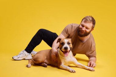 Genç adam yerde yatıyor ve canlı sarı arka planda sevimli, gülümseyen Amerikan Staffordshire Terrier 'iyle oynuyor. Hayvanlar ve sahipleri, dostluk, evcil hayvan bakımı kavramı. Ad