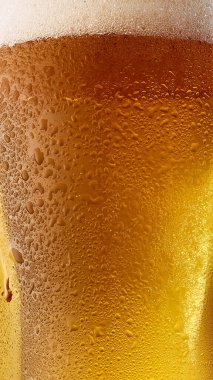 Bira kadehinin yakın plan görüntüsü köpüklü kafanın karmaşık detaylarını gözler önüne sermek ve gri stüdyo arka planına karşı altın sıvının içindeki küçük kabarcıklar. Yiyecek ve içecek kavramı, Ekim Festivali, içecek..