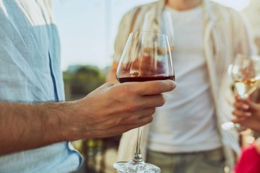 Bir grup arkadaş kutlama konuşmalarında kadehlerini kaldırırken neşeli bir an. Kutlama havası ve dışarıda parti. Parti anlayışı, Cuma havası, kutlama, yaz tatili, rahatlama.