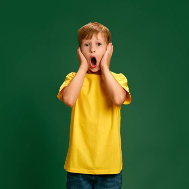 Küçük çocuk, günlük kıyafetli çocuk yeşil stüdyo geçmişine karşı şaşkın bir ifadeyle yanakların üzerinde el ele tutuşuyor. Çocuk kavramı, insani duygular, moda ve tarz, yaşam tarzı. Ad