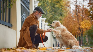 Yaşlı, şık giyimli bir adam oynuyor, safkan köpeğini eğitiyor, sonbaharda parkta Golden retriever oynuyor. Açık havada yürüyorum. Modern yaşam tarzında olgun insan kavramı, dinlenme, emeklilik zamanı.