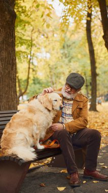 Emeklinin yan görüntüsü, eski moda kıyafetler, sonbahar parkında köpeğiyle bankta oturması ve sevgi ve özen gösteren dokunuşlar. Modern yaşam tarzında olgun insan kavramı, emeklilik süresi.