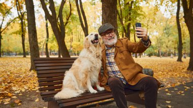 Mutlu yaşlı adam bankta oturuyor ve sevgili köpeği yaşlı av köpeğiyle sonbahar parkında selfie çekiyor. Modern yaşam tarzında olgun insan kavramı, dinlenme, emeklilik zamanı.