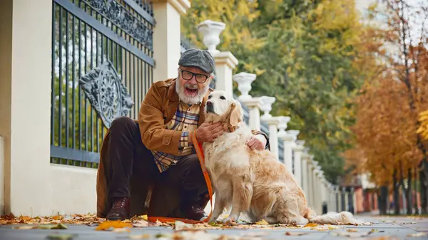 Kaliteli, kaliteli kıyafetler giymiş genç adam, sevgili Golden Retriever köpeğiyle sonbaharda parkta otururken çok şaşırdı. Modern yaşam tarzında olgun insan kavramı, dinlenme, emeklilik zamanı.