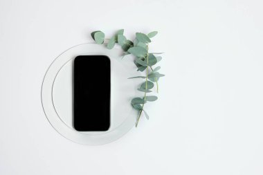 Beyaz yüzeyde okaliptüs dallı siyah akıllı telefon. Negatif alan logolar, markalaşma veya uygulama modellemeleri için idealdir. Temiz ve doğal estetik. İş kavramı, pazarlama, estetik, teşvik.