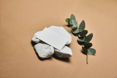 Ökaliptüs filizinin yanındaki pürüzsüz beyaz taşların üzerinde duran boş kartvizit sıcak bej arka planda. Metin eklemek için boşluk yok. İş kavramı, pazarlama, estetik, teşvik.