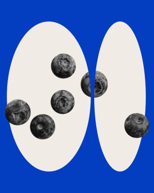 Conceptual graphic design. Black and white blueberries in abstract blue and white ovals, representing balance of nature and precision in organic agriculture. Concept of farming, gardening. Ad clipart