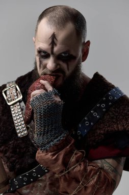 Zırhlı Viking savaşçısına yakından bakın. Stüdyo arka planında çiğ et yiyor. Kuzey gücü kavramı, ortaçağ hayatta kalma, İskandinav gelenekleri, gıda kültürü