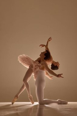 Zarif bale düeti mükemmel bir uyum içinde, kadın ona yaslanırken erkek onu destekliyor, zarafeti, ritmi ve yumuşak sıcak ışığa karşı hareketi yakalıyor. Bale kavramı, ritim, sanat, hareket.