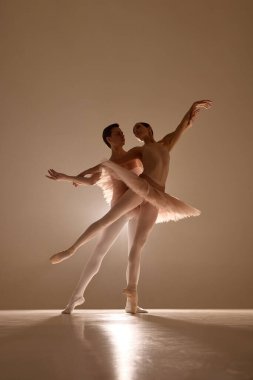Dansçılar mükemmel senkronize ve sıcak sahne ışığı ile etkileyici hareketler oluştururlar. Bale, ritim, klasik sanat, hareket, hareket, zarafet, aşk, romantik, siluet kavramı.