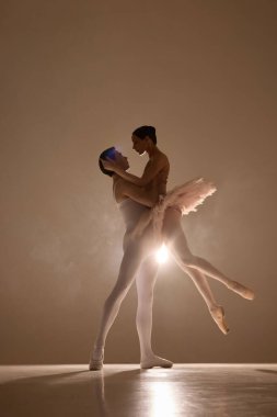 Dansçılar zarif bir yükselişe kilitlendiler, yumuşak etekler havada süzülüyor, sıcak ışık narin formların üzerine gölgeler düşürüyor, hareketlerle ifade edilen sessiz duygular. Bağlantı kavramı, ritim, uyum, sahne güzelliği, sanat.