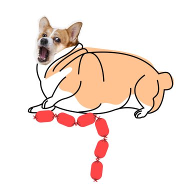 Mizahi kavramsal kolaj. Komik evcil köpek, Welsh corgi, boyalı gövdesi olan, elinde sosis tutan. Hayvan, hayvan ve sahip kavramı, yaşam tarzı, veteriner, tımar. ad