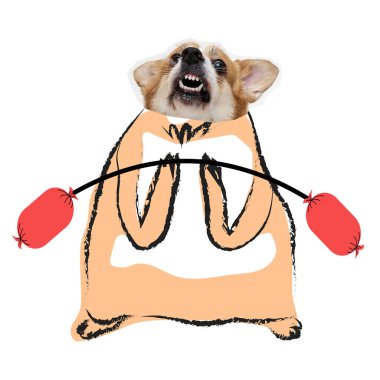 Komik kolaj. Komik Galli Corgi, beyaz arka planda sosisli dambılla alıştırma yapıyor. Hayvan, hayvan ve sahip kavramı, yaşam tarzı, veterinerlik, tımar.