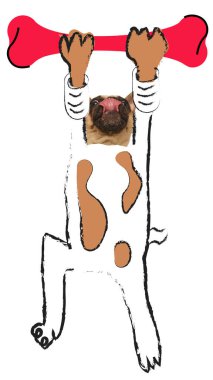 Mizahi sanat kolajı. Büyük boy kırmızı kemiğe sallanan pug çizgi film karakterini jimnastik duruşunda yalamak. Hayvan, hayvan ve sahip kavramı, yaşam tarzı, veterinerlik, tımar.