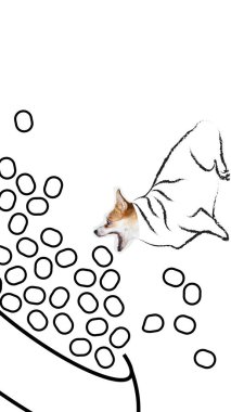Kavramsal sanat kolajı. Mutlu Corgi köpeği abartılı bir heyecan ve geniş gözlerle dolup taşan yemek kasesine doğru koşuyor. Hayvan, hayvan ve sahip kavramı, yaşam tarzı, veterinerlik, tımar.