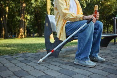 Kör adam parkta yemek ve bastonla bankta dinleniyor. Yardımcı hareketlilik kavramı, sosyal kapsama, bağımsızlık ve ulaşılabilir açık hava eğlencesi.