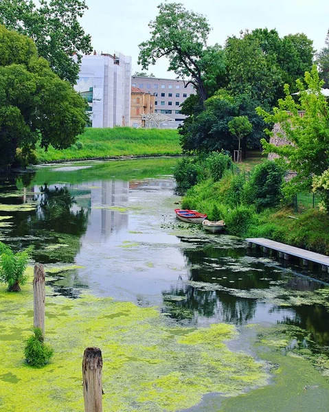 Fluss Der Durch Die Stadt Fließt Wasserlinse Auf Dem Fluss — Stockfoto