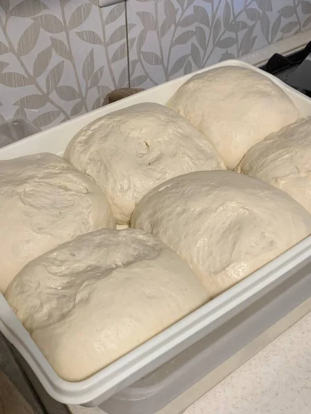 risen dough, moist pizza dough, yeast dough balls, preparations for pizza, a bowl full of wheat dough