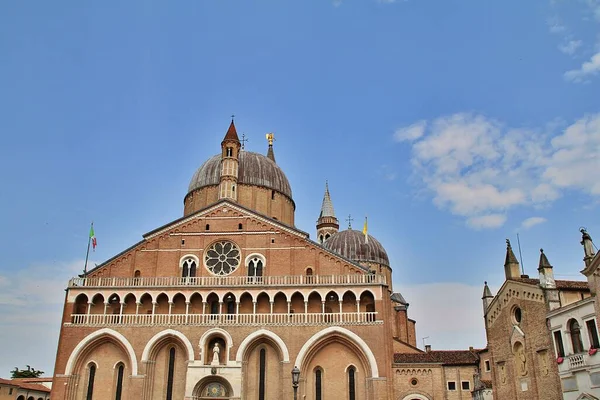 Basiliek Van Heilige Anthony Padua Basiliek Gebouw Koepelvormig Dak Rozet — Stockfoto