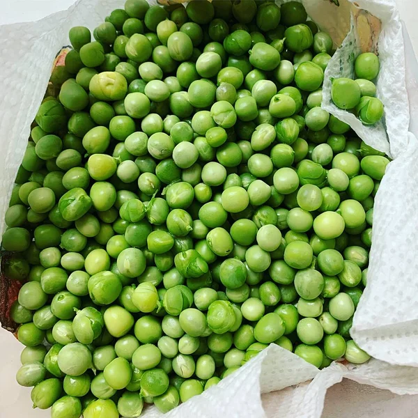 young sugar peas, green peas, peas harvested on the plot, summer harvest from the garden, fresh vegetables