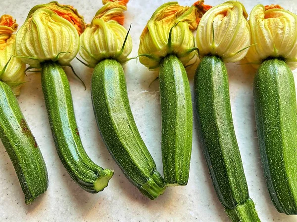 Junge Zucchini Winzige Zucchini Mit Blüten Gelbe Zucchini Blüten Frische — Stockfoto