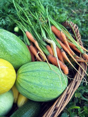 Bahçedeki masada taze sebzeler.