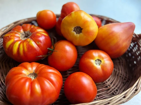 Tomat Besar Keranjang Dengan Tomat Sayuran Musim Panas Sayuran Musim — Stok Foto